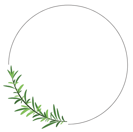 t26-ai-1-e1730681284482.png